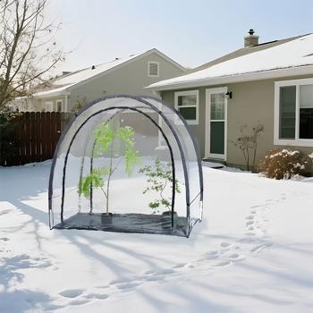 Preview: Robusta serra in plastica e tenda per lo svernamento, 175x186x84 cm: Una tenda di protezione per piante per raccolti ottimali e cure senza gelo