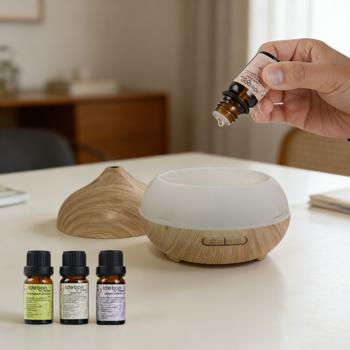 Preview: Profumazione per ambienti con 8 oli profumati e 48 bastoncini in rattan – set diffusore con le fragranze brezza marina, sandalo, lavanda e menta