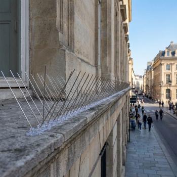Preview: Lot efficace de 5 bandes de pics anti-pigeons, 3 rangées de pointes en acier inoxydable, 2,5 m – longueur adaptable – pointes robustes pour une protection optimale contre les oiseaux