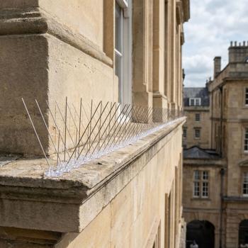 Preview: Efficace set di 10 spuntoni anti‑piccioni, 3 file in acciaio inox, 5 m – regolabile singolarmente – robuste punte di difesa per una protezione ottimale dagli uccelli