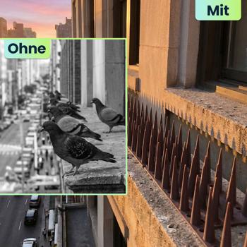 Preview: 12er Set Taubenspikes Braun 5,4m - Effektive Vogelabwehr aus Polycarbonat - 3-reihige Abwehrspikes gegen Tauben, Möwen, Marder, Katzen & Eichhörnchen