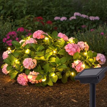 Preview: Incantevoli luci solari a LED per esterni: 50 LED bianchi caldi su 150 cm di lunghezza, IP44 - creano atmosfera in giardino, terrazza, balcone 