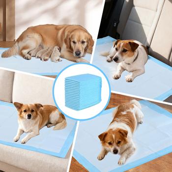 Preview: Alèses d‘apprentissage chiens chiots XL (100 pièces) - Ultra-absorbantes antifuites 5 épaisseurs - 60x90 cm hygiène maximale