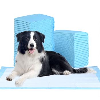 Alèses d‘apprentissage chiens chiots XL (100 pièces) - Ultra-absorbantes antifuites 5 épaisseurs - 60x90 cm hygiène maximale