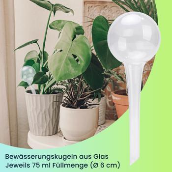 Preview: 8er-Set Effiziente Pflanzen Bewässerungskugeln aus Glas, Ø 6 x H 15 cm, Giesskugeln transparent, ideal für Zuhause, Büro und Ferien