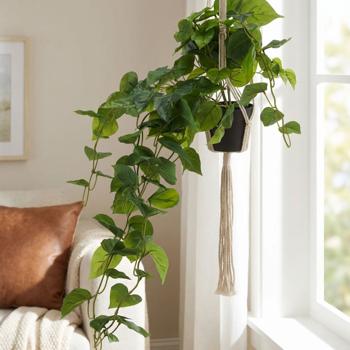 Preview: Lot de 2 plantes artificielles à suspendre 80 cm - Sans entretien, idéales pour personnes actives & allergiques - Décoration intérieure/bureau
