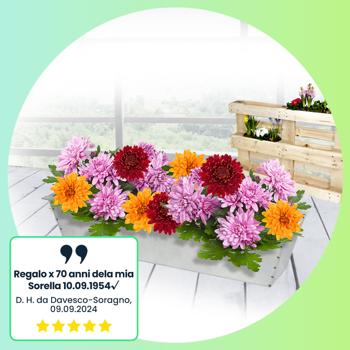 Preview: set di 6 fioriere di alta qualità - inserto per europallet, vaso da fiori in metallo zincato, 38,5 x 13,5 x 8,5 cm, per piantare e decorare