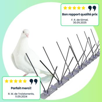 Preview: Répulsif Anti-Pigeons - Lot 5 Pics Inox 3 Rangées, Longueur 2,5m - Protection Fenêtres Balcons - Installation Facile, Inoxydable