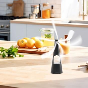 Preview: Ventilateur anti-mouches, 2 ailes – éclairage LED – alimentation par piles ou USB – répulsif doux et efficace, pratique pour les repas et les voyages