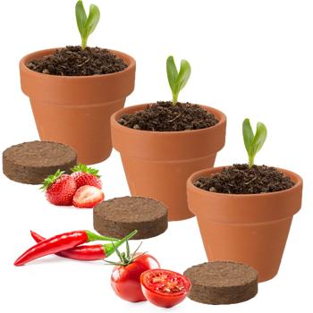 Preview: set di 3 robuste fioriere con supporto per l‘arrampicata, incl. set di piante di pomodoro, fragola e peperoncino, per una crescita rigogliosa delle piante su balcone e terrazzo