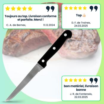 Preview: Lot de 6 Couteaux à Steak en Acier Inoxydable Dentelés - Idéal Viandes, Pizzas & Légumes - Lames 11cm Ergonomiques et Robustes - Usage Polyvalent