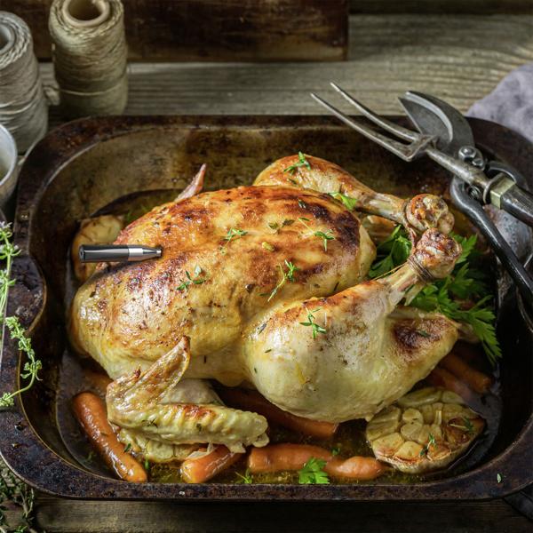 Präzises smartes Fleisch-, Braten- & Ofenthermometer, bis +300 °C, kabelloser Fühler aus Edelstahl, App-Steuerung für BBQ, Grill, Smoker, Backofen