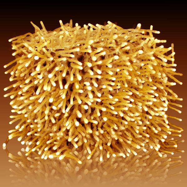 Wunderschöne LED-Büschel-Lichterkette, 2000 warmweisse LEDs, 8 Leucht-Modi, IP44, 20m - Ideal für Weihnachten, Balkon, Garten, Hochzeit & Dekoration