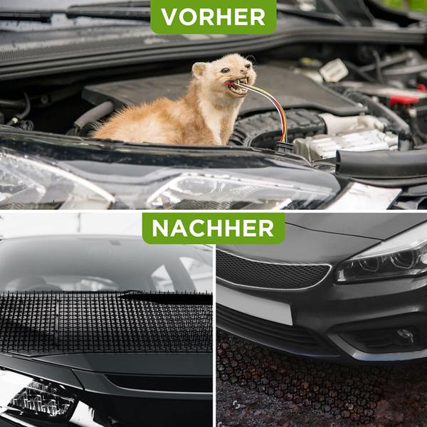 36er-Set Dornen-Gitter mit Spikes zur Tierabwehr: Stachelbarriere-Tiervertreiber gegen Katzen, Hunde, Marder, Schützt Ihre Beete und Pflanzen