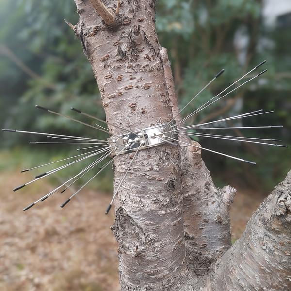 Effektiver Marder-Abwehrgürtel 2er Set aus Edelstahl, Kletterschutz für Regenrohre und Bäume, Abwehr gegen Waschbären & Katzen, leichte Montage