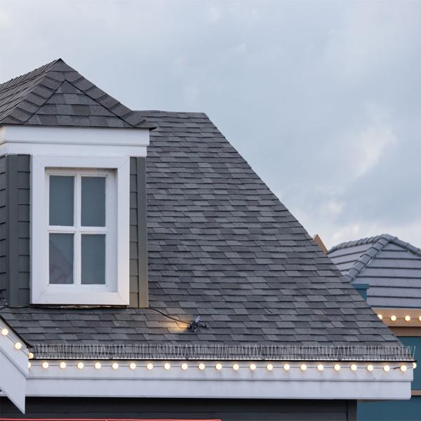 Lot efficace de 5 bandes de pics anti-pigeons, 3 rangées de pointes en acier inoxydable, 2,5 m – longueur adaptable – pointes robustes pour une protection optimale contre les oiseaux