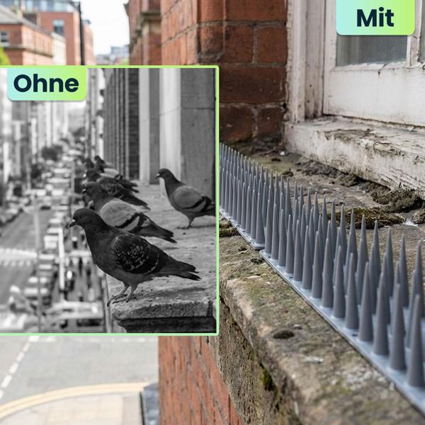 12er Set Taubenspikes Grau 5,4m - Effektive Vogelabwehr aus Polycarbonat - 3-reihige Abwehrspikes gegen Tauben, Möwen, Marder, Katzen & Eichhörnchen