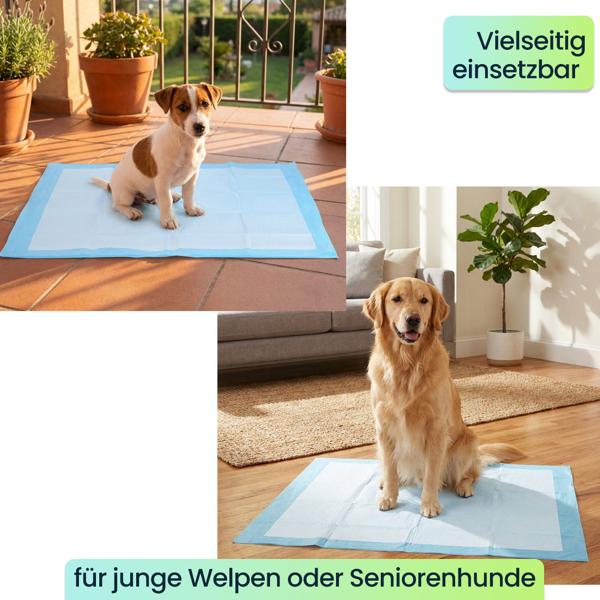 XXL-Packung Trainingspads für Hunde (200 Stück): 5-lagige, extra saugfähige Welpenunterlagen, auslaufsicher, 60x90 cm - saugstark u. hygienisch