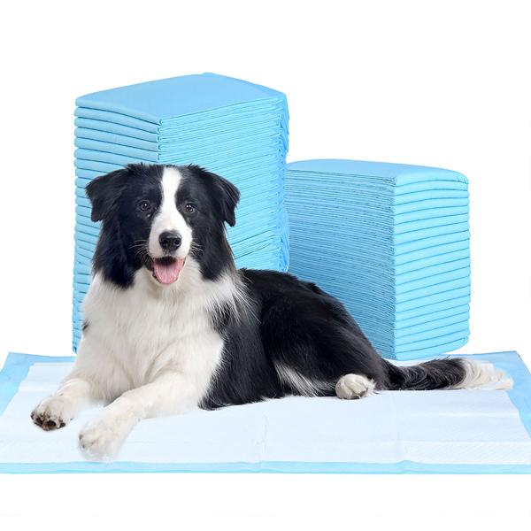 XXL-Spar Pack Trainingspads für Hunde (500 Stück): 5-lagige, extra saugfähige Welpenunterlagen, auslaufsicher, 60x90 cm - saugstark u. hygienisch