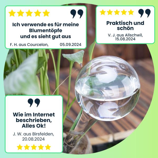 4er-Set Wassersparende Pflanzen Bewässerungskugeln aus Glas, Ø 6 x H 15 cm, Giesskugeln transparent, ideal für Zuhause, Büro und Ferien
