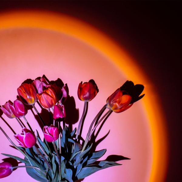 Lampe LED coucher de soleil, pivotante à 180°, corps en aluminium, éclairage d’ambiance pour décoration et photos, moderne, longue durée de vie