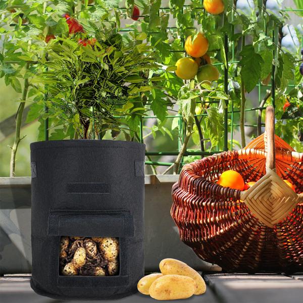 Atmungsaktive 10L Pflanzen-Wachstumssäcke aus Filz, 5er-Set, mit Tragegriffen und Sichtfenster, für Gemüse, Beeren und mehr, leicht und robust