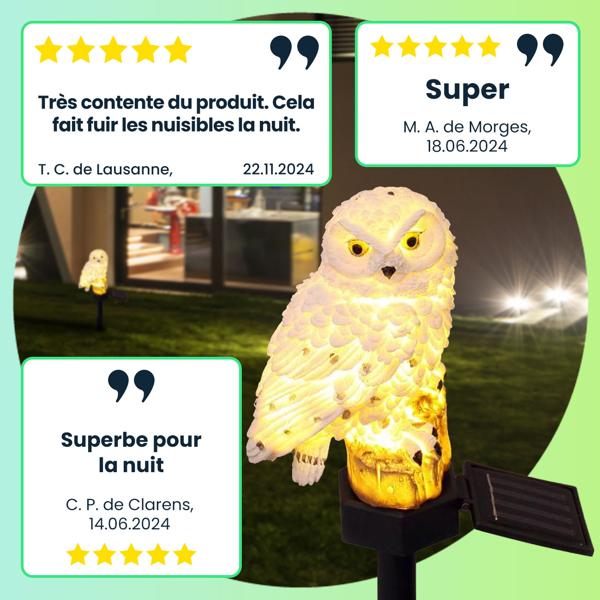 2 Chouettes Solaires LED Originales Résistantes aux Intempéries - Lampes d’Extérieur Décoratives avec Capteur Crépusculaire - Pour Jardin & Balcon - Polyresine Robuste
