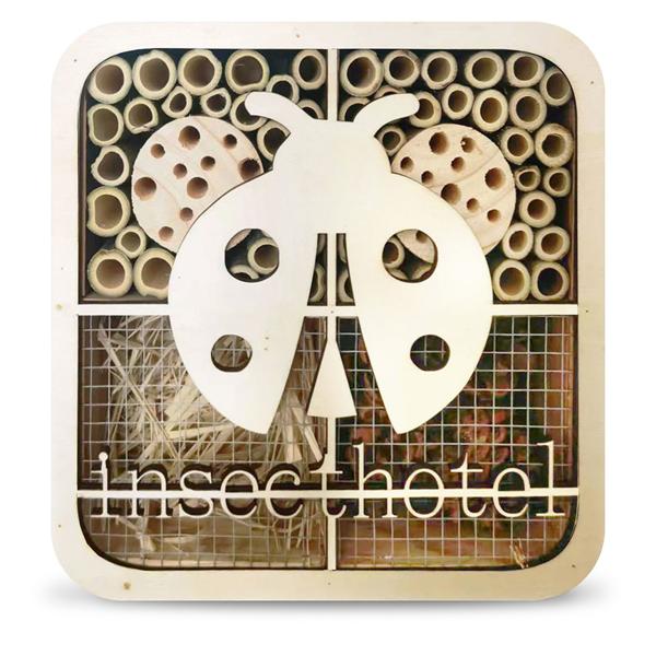 Hôtel à insectes Coccinelle - Bois naturel certifié FSC - 20x20x7cm - Abri pour coccinelles abeilles - Jardin, balcon, terrasse