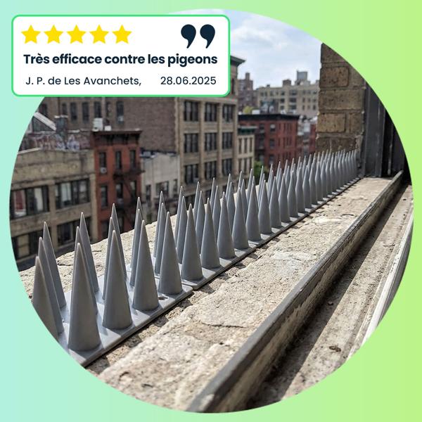 Pics à Pigeons Répulsifs Anti-Oiseaux 5,4m - Modules 45cm Gris Polycarbonate UV - Protection Balcon Fenêtre Toit - Installation Facile