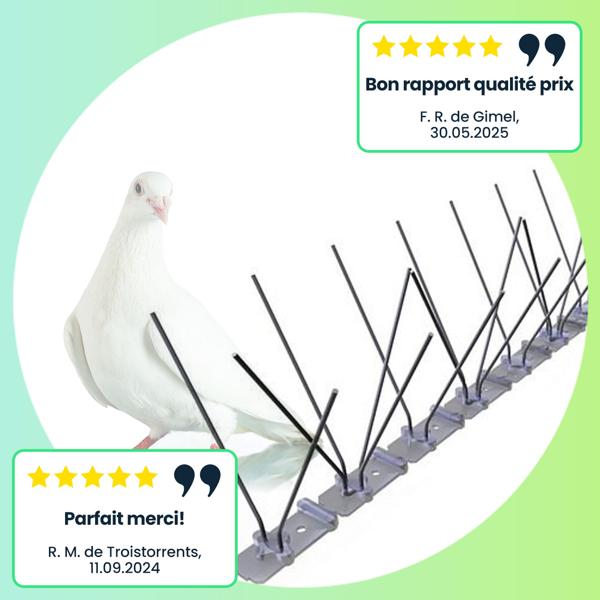 Pics Anti-Pigeons (Lot de 10) - Protection Balcons, Toits, Fenêtres 5m - 3 Rangées Pointes Inox, Résistant Intempéries, Longue Durée de Vie, Montage Facile