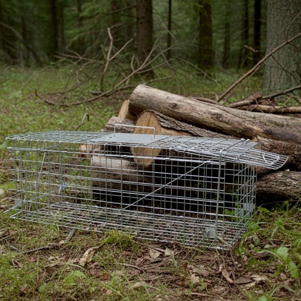 2er-Set Robuste Marder Lebendfalle (66x26x23cm) aus Metall – Mit Tragegriff & Beissschutz – Sicherer Fang ohne Verletzungen für Mensch und Tier