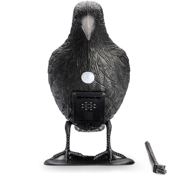 2er-Set Realistische Vogelabwehr Krähe mit Sound: Batteriebetriebener Raben Vogelschreck für effektive Vogelabwehr. Natürliche Krähengeräusche zur Abschreckung