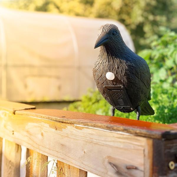 2er-Set Realistische Vogelabwehr Krähe mit Sound: Batteriebetriebener Raben Vogelschreck für effektive Vogelabwehr. Natürliche Krähengeräusche zur Abschreckung
