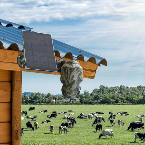 4G PanTilt Dome Überwachungskamera mit Solarmodul, Alarm und Nachtsicht, Zwei-Wege-Kommunikation, PIR Bewegungssensor, IP 65, Tarnfarbe