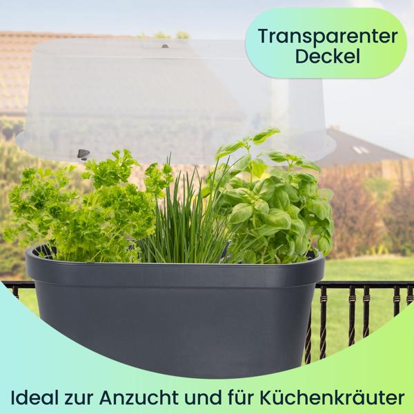 Robuster Geländer-Blumentopf mit Gewächshaus-Haube, Anthrazit – Ideal für Balkon & Terrasse, Schutz & Wachstum für Kräuter, Gemüse & mehr