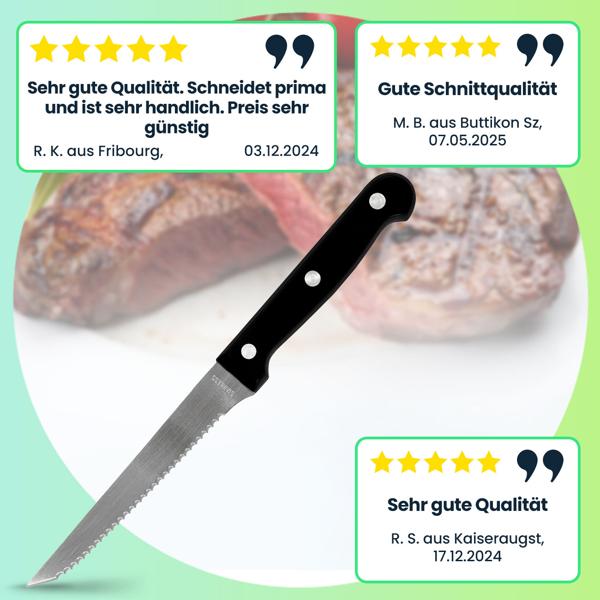 Hochwertige Steakmesser, 6er-Set aus Edelstahl, Grillmesser mit gezackten Klingen, Länge 21 cm, ideal auch für Pizza und BBQ